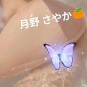 ヒメ日記 2026/04/11 07:45 投稿 月野さやか　(つきのさやか） 桃色奥様(佐賀)