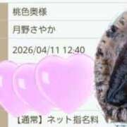 ヒメ日記 2026/04/11 12:25 投稿 月野さやか　(つきのさやか） 桃色奥様(佐賀)
