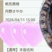ヒメ日記 2026/04/11 14:55 投稿 月野さやか　(つきのさやか） 桃色奥様(佐賀)