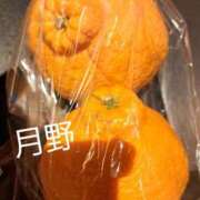 ヒメ日記 2026/04/14 09:25 投稿 月野さやか　(つきのさやか） 桃色奥様(佐賀)