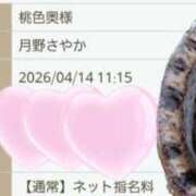 ヒメ日記 2026/04/14 10:00 投稿 月野さやか　(つきのさやか） 桃色奥様(佐賀)