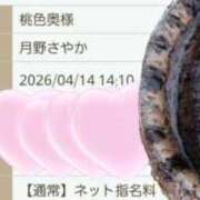 ヒメ日記 2026/04/14 14:05 投稿 月野さやか　(つきのさやか） 桃色奥様(佐賀)