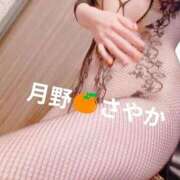 ヒメ日記 2026/04/15 12:21 投稿 月野さやか　(つきのさやか） 桃色奥様(佐賀)