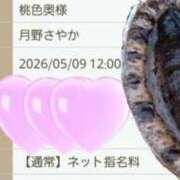 ヒメ日記 2026/05/09 12:05 投稿 月野さやか　(つきのさやか） 桃色奥様(佐賀)