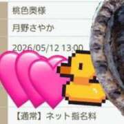 ヒメ日記 2026/05/12 12:25 投稿 月野さやか　(つきのさやか） 桃色奥様(佐賀)