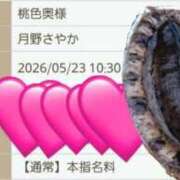 ヒメ日記 2026/05/23 10:25 投稿 月野さやか　(つきのさやか） 桃色奥様(佐賀)
