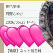 ヒメ日記 2026/05/23 12:55 投稿 月野さやか　(つきのさやか） 桃色奥様(佐賀)