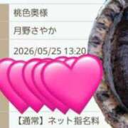 ヒメ日記 2026/05/25 13:06 投稿 月野さやか　(つきのさやか） 桃色奥様(佐賀)