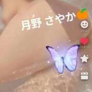 ヒメ日記 2026/05/26 08:55 投稿 月野さやか　(つきのさやか） 桃色奥様(佐賀)