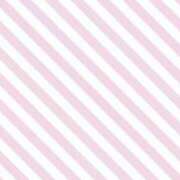 ヒメ日記 2025/12/27 21:34 投稿 みらい プールサイド