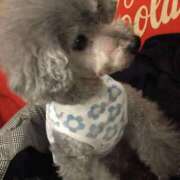 ヒメ日記 2025/09/17 17:00 投稿 早乙女 愛妻倶楽部 宇都宮店