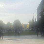 ヒメ日記 2025/11/17 09:46 投稿 和久井れみ(わくいれみ) 五十路マダムエクスプレス厚木店(カサブランカグループ)