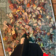 ヒメ日記 2025/11/18 19:56 投稿 和久井れみ(わくいれみ) 五十路マダムエクスプレス厚木店(カサブランカグループ)