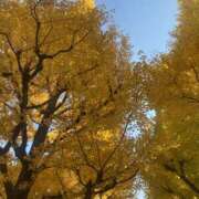 ヒメ日記 2025/11/20 12:24 投稿 和久井れみ(わくいれみ) 五十路マダムエクスプレス厚木店(カサブランカグループ)