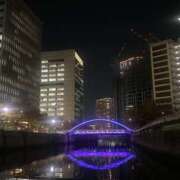 ヒメ日記 2025/11/21 23:08 投稿 和久井れみ(わくいれみ) 五十路マダムエクスプレス厚木店(カサブランカグループ)