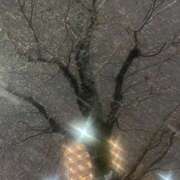 ヒメ日記 2026/01/02 20:12 投稿 和久井れみ(わくいれみ) 五十路マダムエクスプレス厚木店(カサブランカグループ)