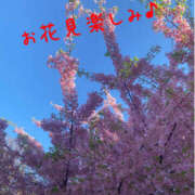 ヒメ日記 2026/03/10 22:58 投稿 和久井れみ(わくいれみ) 五十路マダムエクスプレス厚木店(カサブランカグループ)