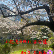 ヒメ日記 2026/03/29 15:56 投稿 和久井れみ(わくいれみ) 五十路マダムエクスプレス厚木店(カサブランカグループ)