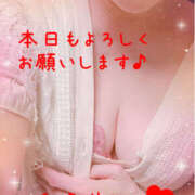 ヒメ日記 2026/06/14 12:20 投稿 和久井れみ(わくいれみ) 五十路マダムエクスプレス厚木店(カサブランカグループ)
