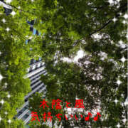 ヒメ日記 2026/08/28 12:54 投稿 和久井れみ(わくいれみ) 五十路マダムエクスプレス厚木店(カサブランカグループ)