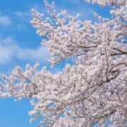 ヒメ日記 2026/03/28 15:17 投稿 りょうこ 日本橋・谷九サンキュー