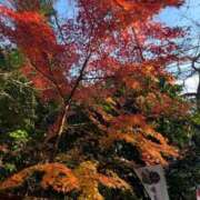 ヒメ日記 2025/12/02 19:02 投稿 七瀬りの ヌルテカ