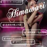 ヒメ日記 2025/09/16 09:00 投稿 ひまわり INFINITY GOLD～インフィニティゴールド～