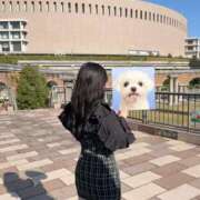 ヒメ日記 2026/01/03 17:01 投稿 ゆあ 若妻LOVE