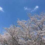 ヒメ日記 2026/04/06 20:36 投稿 たると スピードエコ梅田店