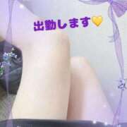 ヒメ日記 2026/07/09 11:04 投稿 みくる 熟女家 梅田店
