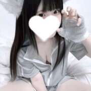 ヒメ日記 2025/09/20 08:11 投稿 えま The White