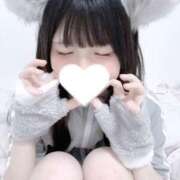 ヒメ日記 2025/10/18 21:33 投稿 えま The White