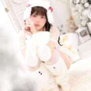 ヒメ日記 2025/12/01 08:01 投稿 えま The White