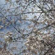 ヒメ日記 2026/04/03 15:35 投稿 ゆな 性の極み技の伝道師ver.2.0