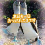 ヒメ日記 2025/11/24 22:54 投稿 一色　あいこ YOKOHAMA FIVESTAR（横浜ファイブスター）