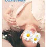 ヒメ日記 2025/12/24 11:12 投稿 一色　あいこ YOKOHAMA FIVESTAR（横浜ファイブスター）