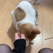 ヒメ日記 2026/06/03 08:21 投稿 なつめ 熊谷人妻城