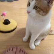 ヒメ日記 2026/06/06 12:34 投稿 なつめ 熊谷人妻城