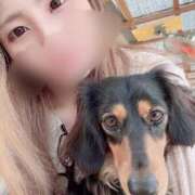 ヒメ日記 2025/09/25 17:59 投稿 さき プリンセスセレクション姫路