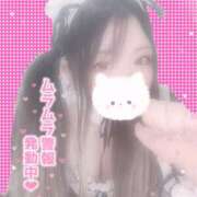 ヒメ日記 2025/11/14 16:41 投稿 みな ちゃんこ長野塩尻北IC店