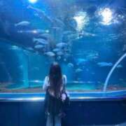 ヒメ日記 2026/03/25 08:31 投稿 みな ちゃんこ長野塩尻北IC店