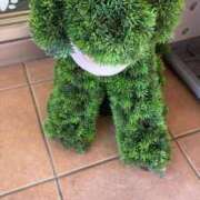 ヒメ日記 2025/11/01 01:49 投稿 高嶺【たかね】 丸妻 西船橋店