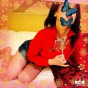 ヒメ日記 2025/11/14 00:14 投稿 高嶺【たかね】 丸妻 西船橋店