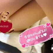 ヒメ日記 2026/02/19 21:38 投稿 高嶺【たかね】 丸妻 西船橋店