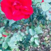 ヒメ日記 2026/03/23 09:27 投稿 高嶺【たかね】 丸妻 西船橋店