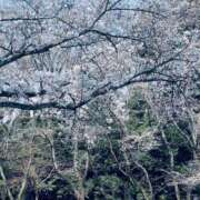 ヒメ日記 2026/04/05 08:16 投稿 高嶺【たかね】 丸妻 西船橋店