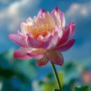 ヒメ日記 2025/09/18 14:59 投稿 まどか 丸妻 横浜本店