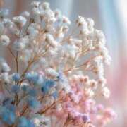 ヒメ日記 2025/09/19 00:25 投稿 まどか 丸妻 横浜本店