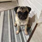 ヒメ日記 2025/09/23 23:10 投稿 ともこ 最高級 エロエロ奥様 越谷店