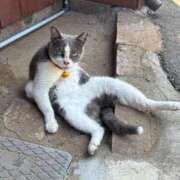 ヒメ日記 2025/10/19 07:01 投稿 ☆菜々子【ナナコ】☆ ピンクコレクション大阪